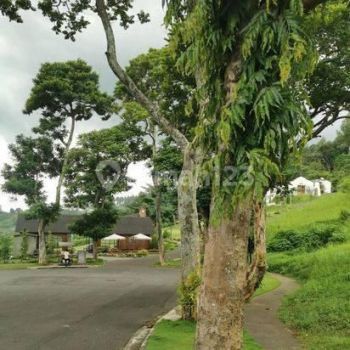 Dijual Tanah Kavling Taman Dayu Pandaan Pasuruan