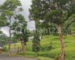 thumbnail-dijual-tanah-kavling-taman-dayu-pandaan-pasuruan-8