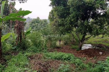 Tanah Bagus di Kolonel Masturi