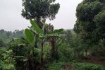 thumbnail-tanah-bagus-di-kolonel-masturi-7