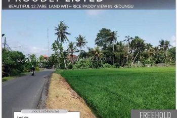 Beautiful 12.7are/1.270m2 land in Kedungu-yellow zone  with rice paddy view