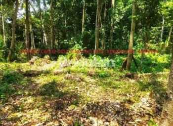Tanah seluas 46 are berlokasi di desa Sembung Gede Kecamatan Kerambitan Tabanan