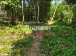 thumbnail-tanah-seluas-46-are-berlokasi-di-desa-sembung-gede-kecamatan-kerambitan-tabanan-5