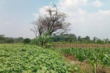 Lahan Perumahan di kec Tamansari Bogor
