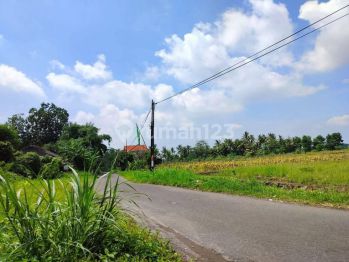 Dekat Ppg Kesenian Jual Tanah Murah di Jl. Besi Kaliurang
