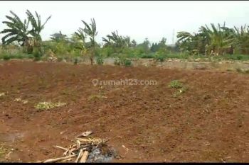 Dijual Cepat Lahan Industri Pinggir Jalan Raya Pasar Kemis Dekat Ikad Atau Gajah