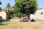 thumbnail-land-1500m2-for-rent-gili-air-lombok-utara-6