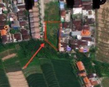 Tanah di Semat, Canggu SHM - Sertifikat Hak Milik 10 Are