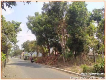 Dijual Tanah Daerah Tirtomartani Dekat Pasar Prambanan Siap Nego