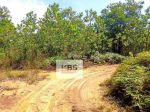 thumbnail-dijual-tanah-lokasi-topaya-asri-km-23-bintan-5