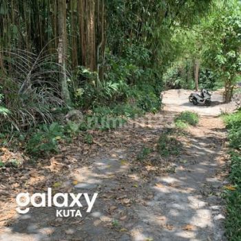 Disewakan Tanah Kosong Cepaka Selingsing Cepaka, Bali