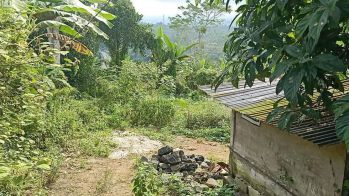 Hot List Di Jual Tanah Lokasi Pelaga Petang Badung