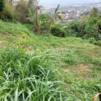 Tanah Bandung Utara  Parompong Suasana Nyaman
