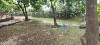 termurah Tanah Cocok Untuk Cluster Townhouse Dekat Matoa Club House