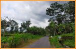 thumbnail-tanah-shm-jogja-barat-pasar-gentan-jl-kaliurang-4