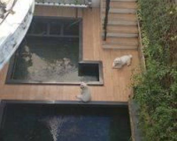 Rumah Aristoteles Gading Serpong 3 Lantai Siap Huni