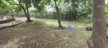 termurah Tanah Cocok Untuk Cluster Townhouse Dekat Matoa Club House