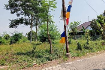 Jual Tanah Denasri Kulon Batang, Dekat Pasar Batik Setono, SHM