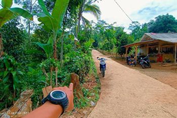 Tanah kebun samping jalan strategis view gunung