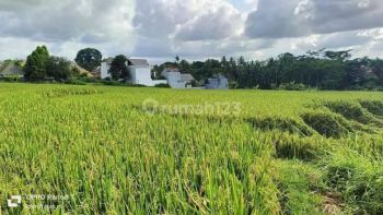 Tanah pinggir jalan utama di lodtunduh Ubud.