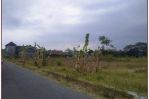 thumbnail-tanah-jogja-sleman-pemda-sleman-dekat-jalan-magelang-3