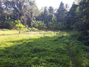 TANAH JUAL STRATEGIS,EXOTIC,TENANG,SEJUK ASRI,NYAMAN