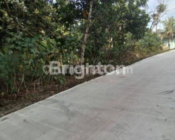 TANAH STRATEGIS DEKAT KAWASAN INDUSTRI  DAN TOL KARIANGAU.