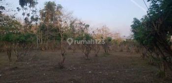 Nunggalan Pecatu Land for Lease
