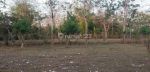 thumbnail-nunggalan-pecatu-land-for-lease-2