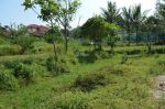 thumbnail-tanah-strategis-5600-m2-di-garut-dipinggir-jalan-9