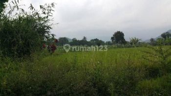 Tanah Kebun Murah di Jalan Arah Sukabumi Cianjur