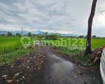 thumbnail-dijual-tanah-pinggir-pantai-di-singaraja-dekat-kota-8