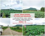 thumbnail-dijual-tanah-view-cantik-kopeng-getasan-salatiga-kab-semarang-0