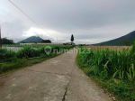 thumbnail-dijual-tanah-view-cantik-kopeng-getasan-salatiga-kab-semarang-8