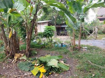 Tanah Strategis Siap Bangun di Lokasi Premium Jalan Jepang Alang Alang Lebar