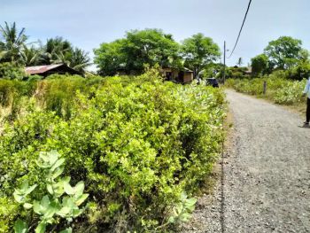 DIJUAL TANAH LUAS 484 m² DEKAT PINTU TOL KAJHU