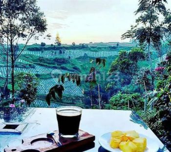 Ruang Usaha Cafe+kebun di Lembang Bandung