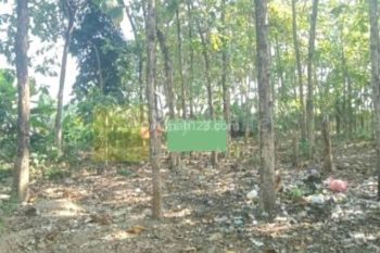 Tanah Datar bebas banjir tr