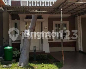 READY MARET, KOSONGAN | PARAMOUNT, SEMARANG BARAT