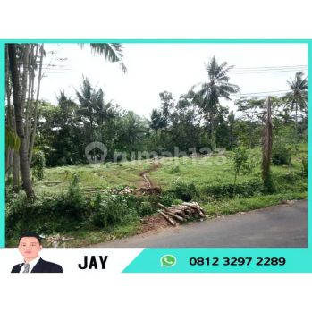 Tanah Pinggir Jalan Desa Cocok Untuk Berkebun