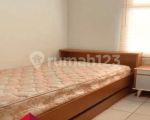 thumbnail-disewa-apartemen-springlake-3br-furnish-bagus-view-pool-1