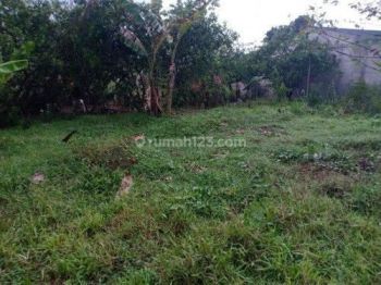 Tanah Pengasinan Dekat SMK Insan Medika Luas Ideal