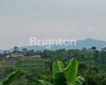 thumbnail-tanah-kebun-produktif-di-jl-raya-nongkojajar-tutur-pasuruan-4