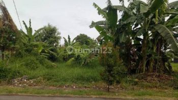 Land For Lease In Tumbak Bayuh Pererenan, Udb 040