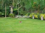 thumbnail-di-jual-joglo-cottage-serenity-and-green-di-payangan-ubud-5