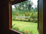 thumbnail-di-jual-joglo-cottage-serenity-and-green-di-payangan-ubud-12