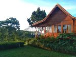 thumbnail-di-jual-joglo-cottage-serenity-and-green-di-payangan-ubud-7