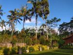 thumbnail-di-jual-joglo-cottage-serenity-and-green-di-payangan-ubud-6