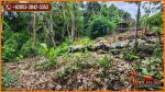 thumbnail-tanah-kebun-akses-jalan-desa-17-are-di-sukawati-gianyar-8