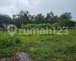 thumbnail-furnished-lucky-angpao-emas-mulia-10gr-2-br-silkwood-alam-sutera-dekat-binus-3